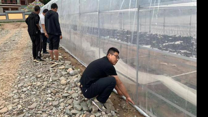 ��פ�������� ���ʵЧ����AG���鼯�ż�����ʵ�ƶ��������������ʵ